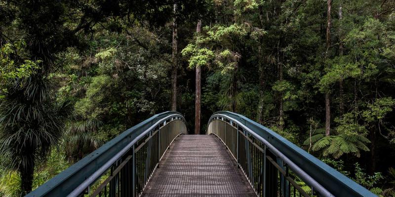 从孕妇产品到育儿咨询：雷斯顿宝贝如何科学护航母婴健康