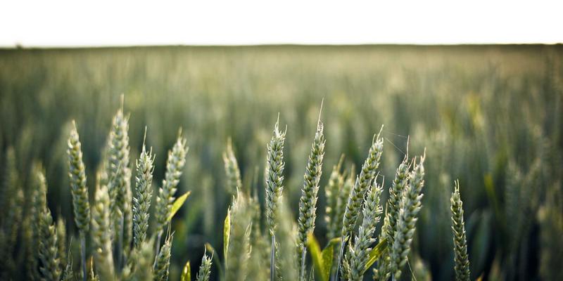 婴幼儿牙齿发育时间表全解析：各阶段口腔按摩工具推荐与专业育儿服务指南