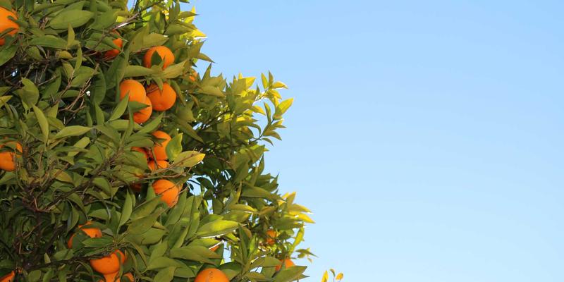 守护出行第一步：儿童安全座椅ISOFIX安装与年龄段选择全指南