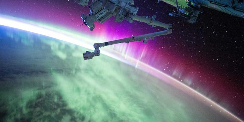 新生儿抚触全攻略：专业手法、最佳时间与按摩油选购要点 | 雷斯顿宝贝育儿服务