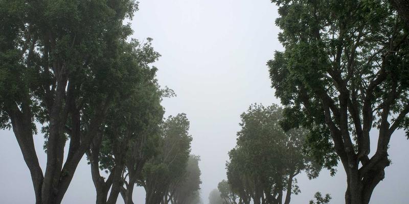 母婴用品51：从孕期到育儿的智慧选择指南