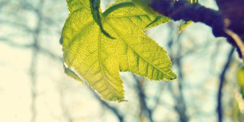 母婴用品52周全指南：专业育儿咨询、婴儿护理与贴心服务三位一体