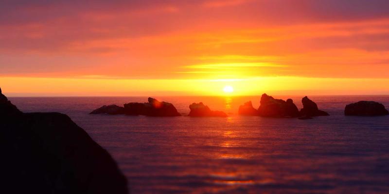 母婴用品81：专业育儿咨询与服务如何成就雷斯顿宝贝的健康成长