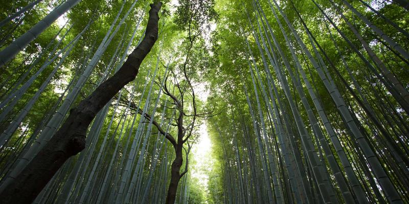 科学育儿新主张：专业育儿咨询、优质母婴用品与益智儿童玩具的协同优势