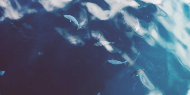 雷斯顿宝贝:专业育儿服务与咨询如何为现代家庭赋能