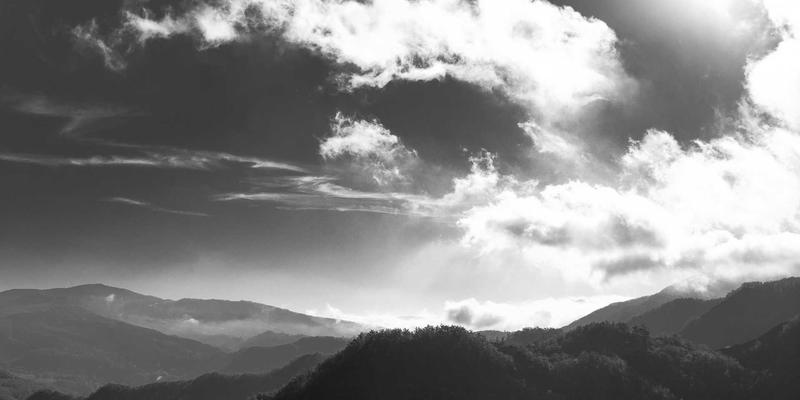 雷斯顿宝贝育儿咨询：婴儿推车避坑指南，轻便型、高景观与旅行系统如何选？